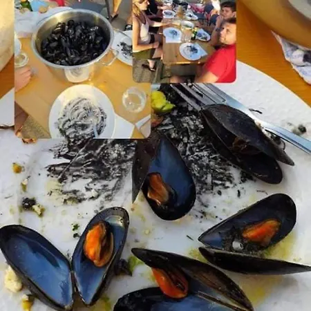 Tiho & Jelena * ブラチェ