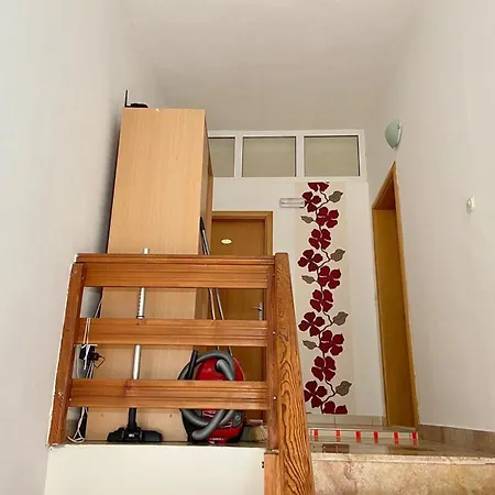 Lägenhet Tiho & Jelena *