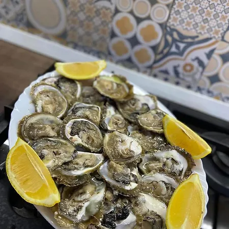 Lägenhet Tiho & Jelena *